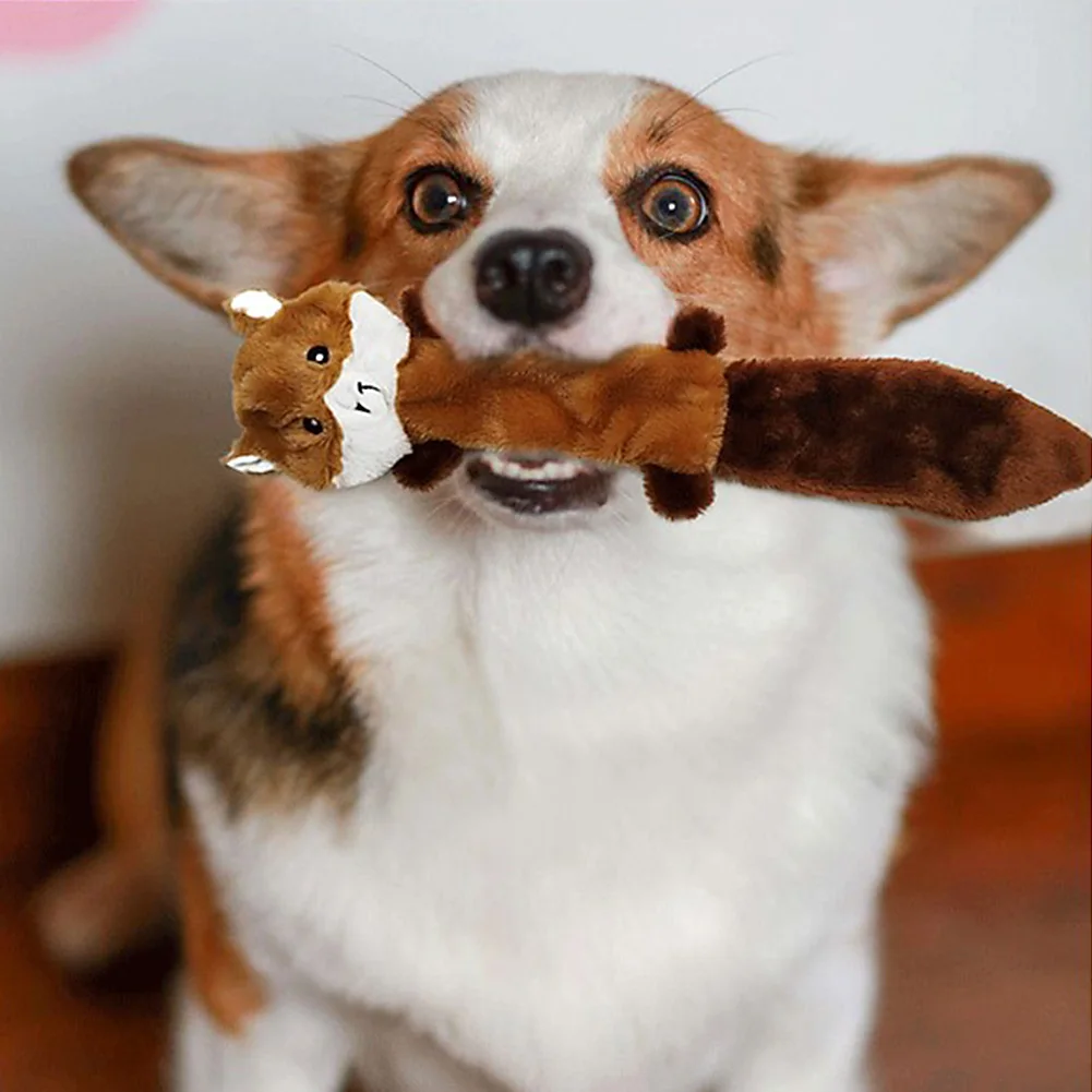 2020 милые животные шаблон дизайн собака игрушка лиса енот Плюшевые писклявые