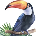 Настенные наклейки в виде попугаев, съемные обои для детской комнаты, входная стена, украшение, декоративные настенные наклейки для детей