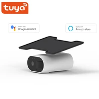 tuya smart solar powered rechargeable battery support alexa google outdoor two way audio wifi security surveillance camera