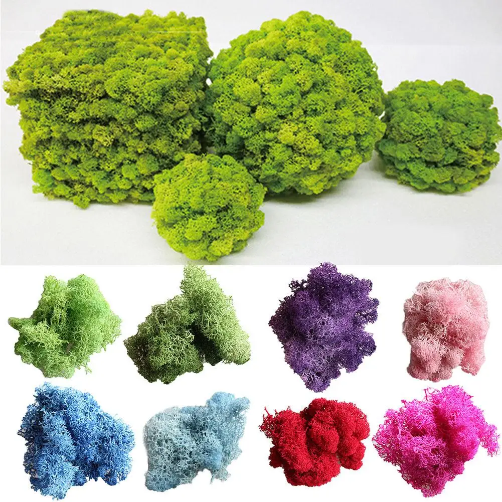 Высококачественные искусственные моховые растения 10 г для самостоятельного