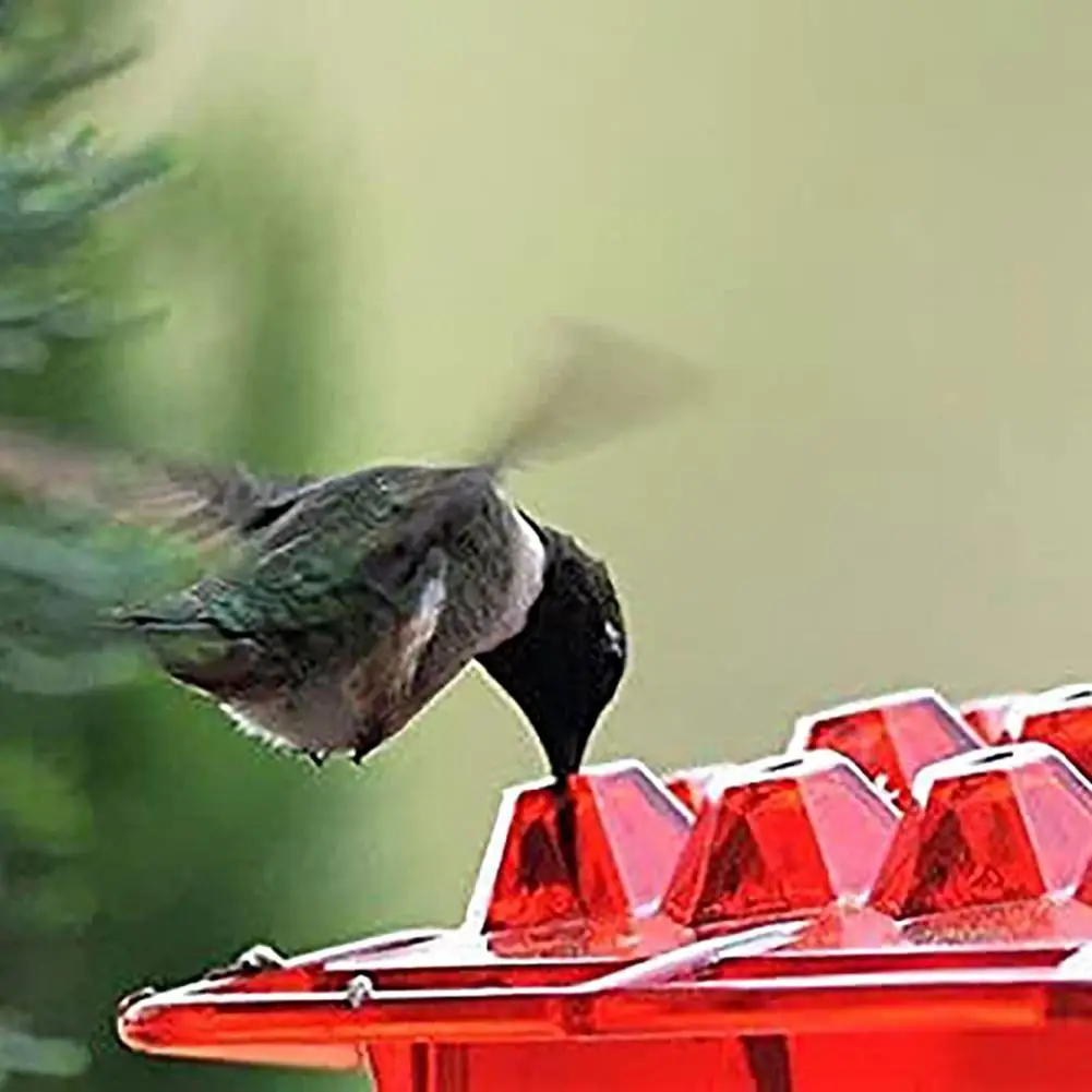 

Food Feeder Decorative Transparent Design with 30 Feeding Ports Easy Clean Plastic Hummingbird Feeder for Garden