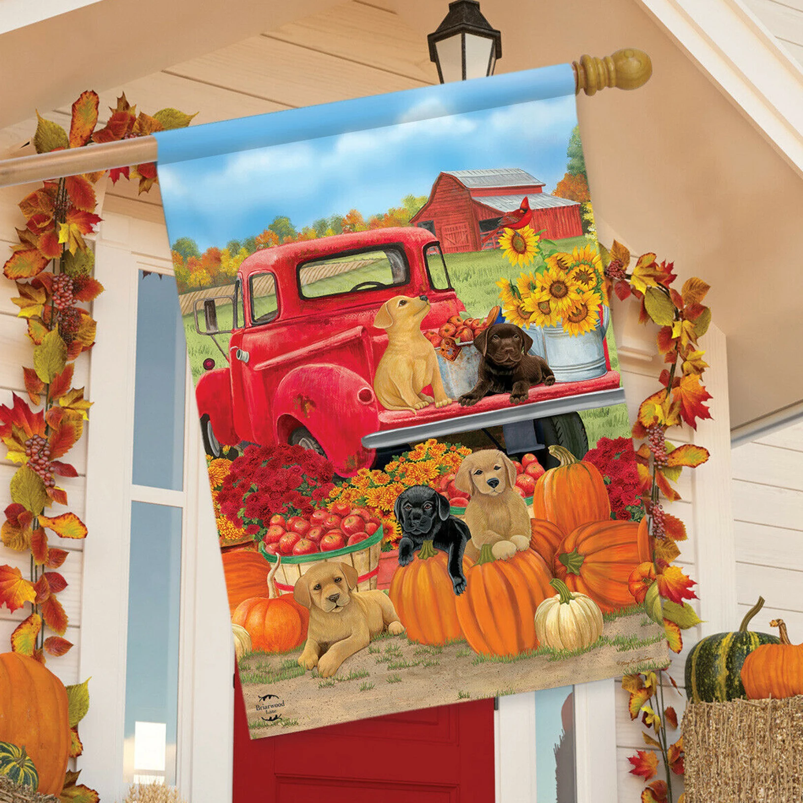 

28x40 inch puppy flag for Outdoor