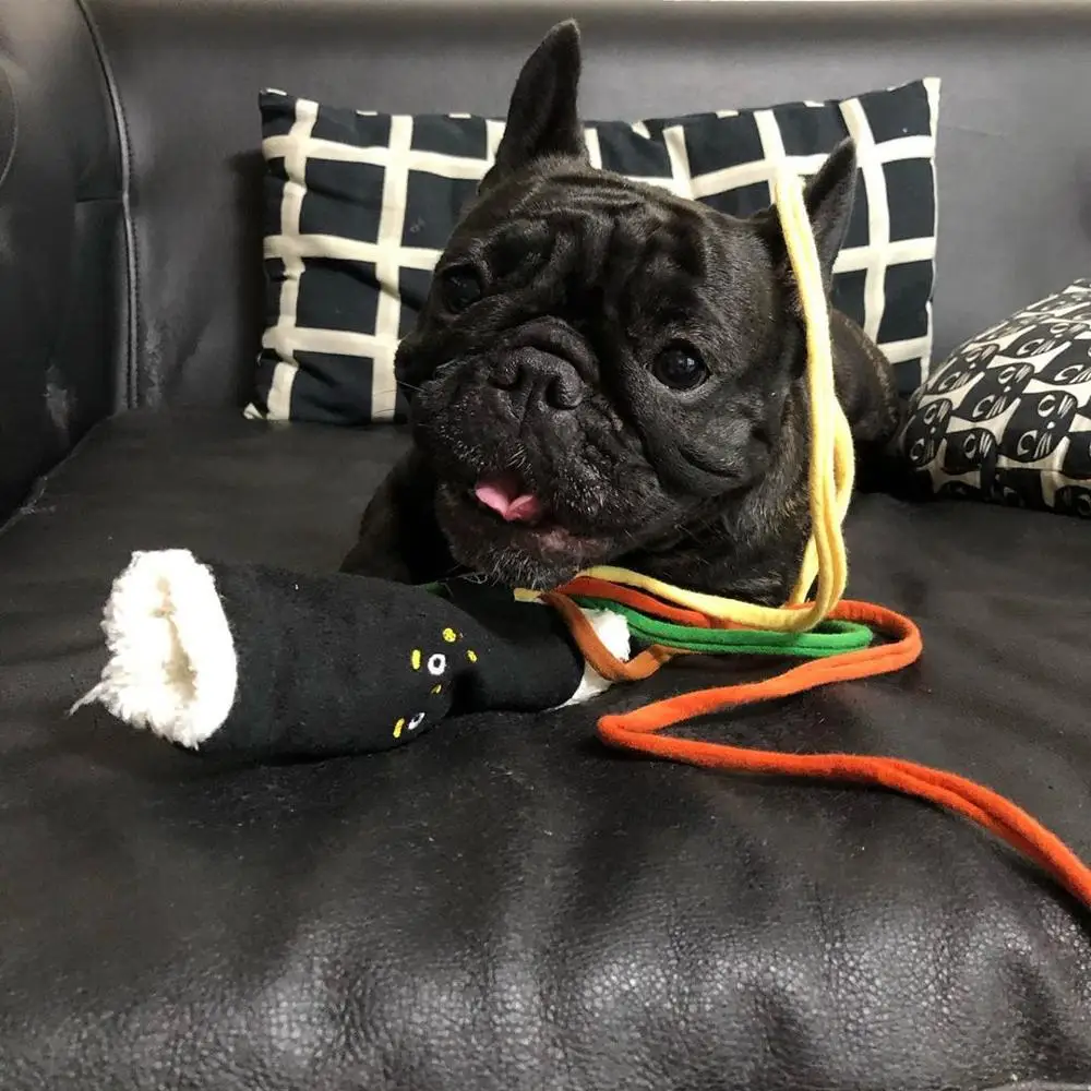 Ins Dog Toys Korean Seaweed Rice Bag Tibetan Vegetables Cute Pet Food Supplies For | Дом и сад