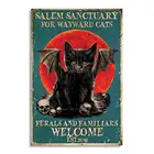 Талисман Салем для Wayward, черные кошки, вампир, винтажный Ретро металлический жестяной знак, настенный Декор для дома, плакат 8x12 дюймов, железная живопись