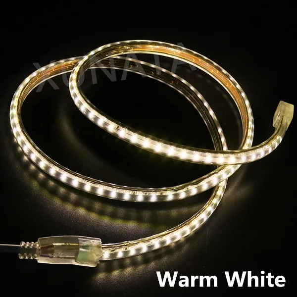 220 В светодиодный светильник 3014 SMD водонепроницаемый 120 светодиодный s/m наружный светодиодный светильник белый/теплый белый/синий ЕС выключатель питания вилка - Испускаемый цвет: Тёплый белый
