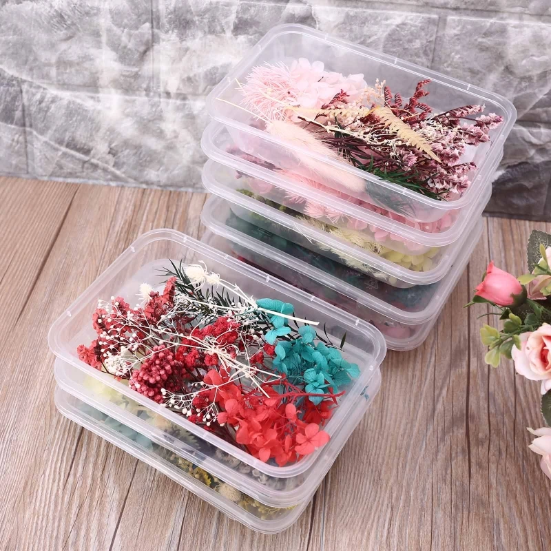 

1 Box Real Mix Dried Flowers for Aromatherapy Candle Resin Jewellery Dry Plants Pressed Flower Making Craft DIY Accessories QX2D