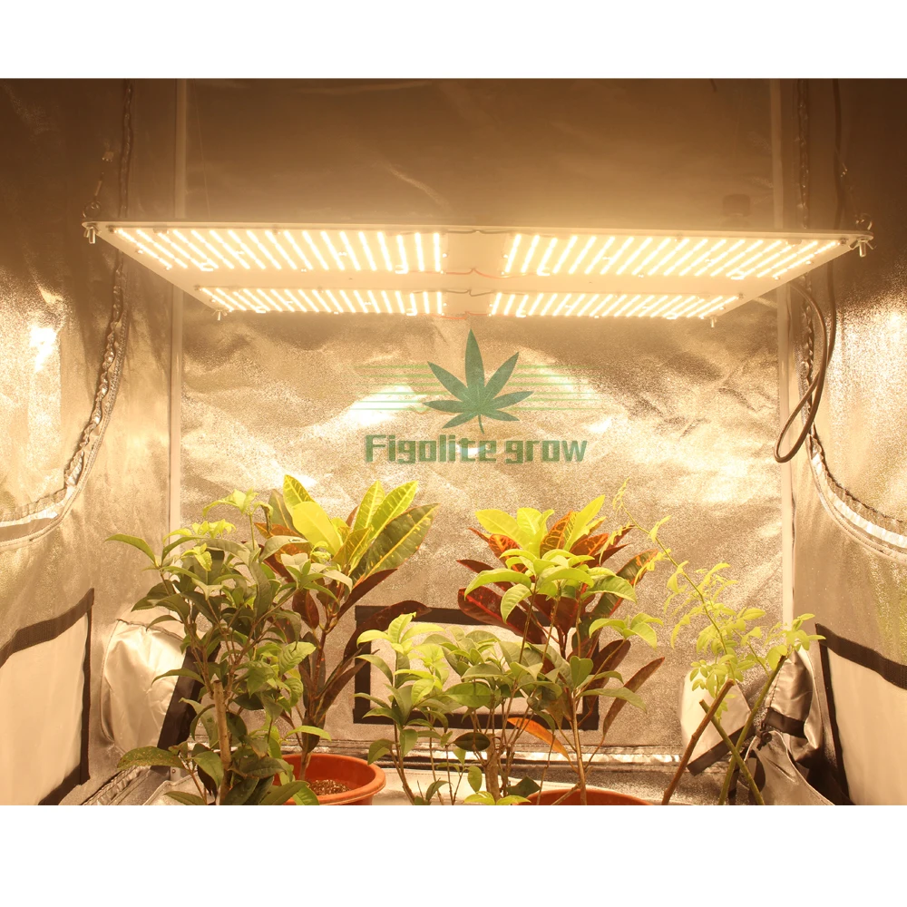 Квантовая плата Figolite Grow с полным спектром Samsung LM301H V3 3000K/3500K Микс красного цвета нм