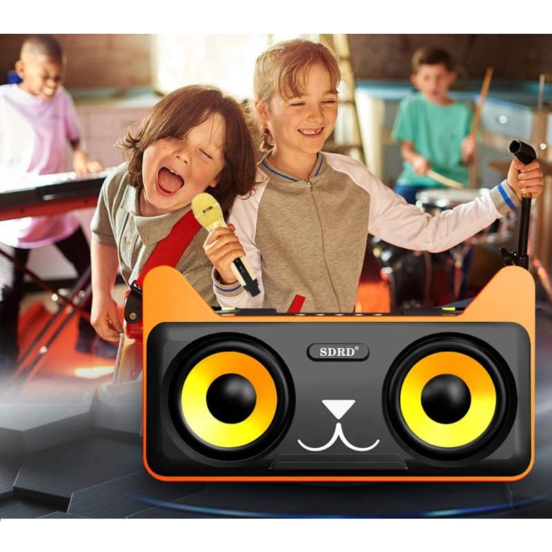SD 309/305 Bluetooth Speaker Home Karaoke with Microphone Music Portable Speaker Surround Sound Subwoofer Wireless Caixa De Som