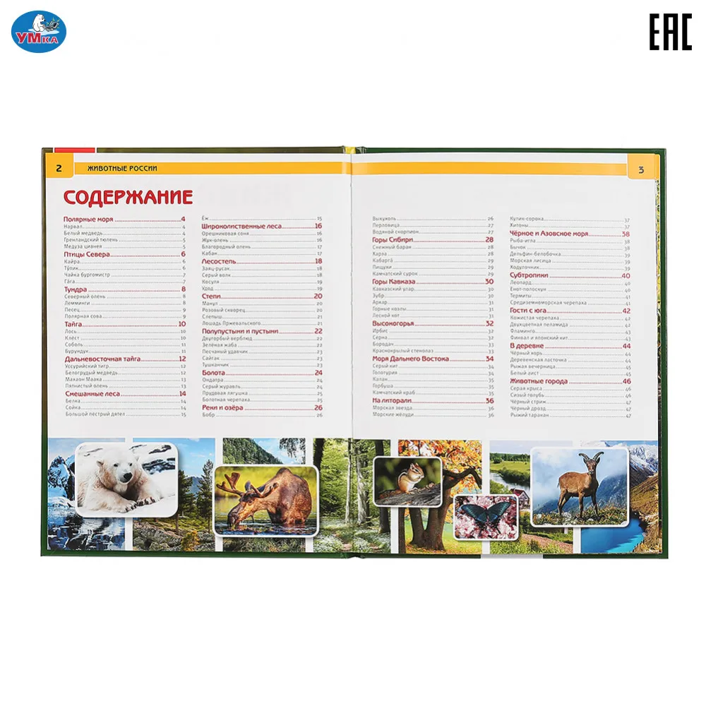 Энциклопедия Умка с развивающими заданиями &quotЖивотные России&quot твердый переплет бумага мелованная формат