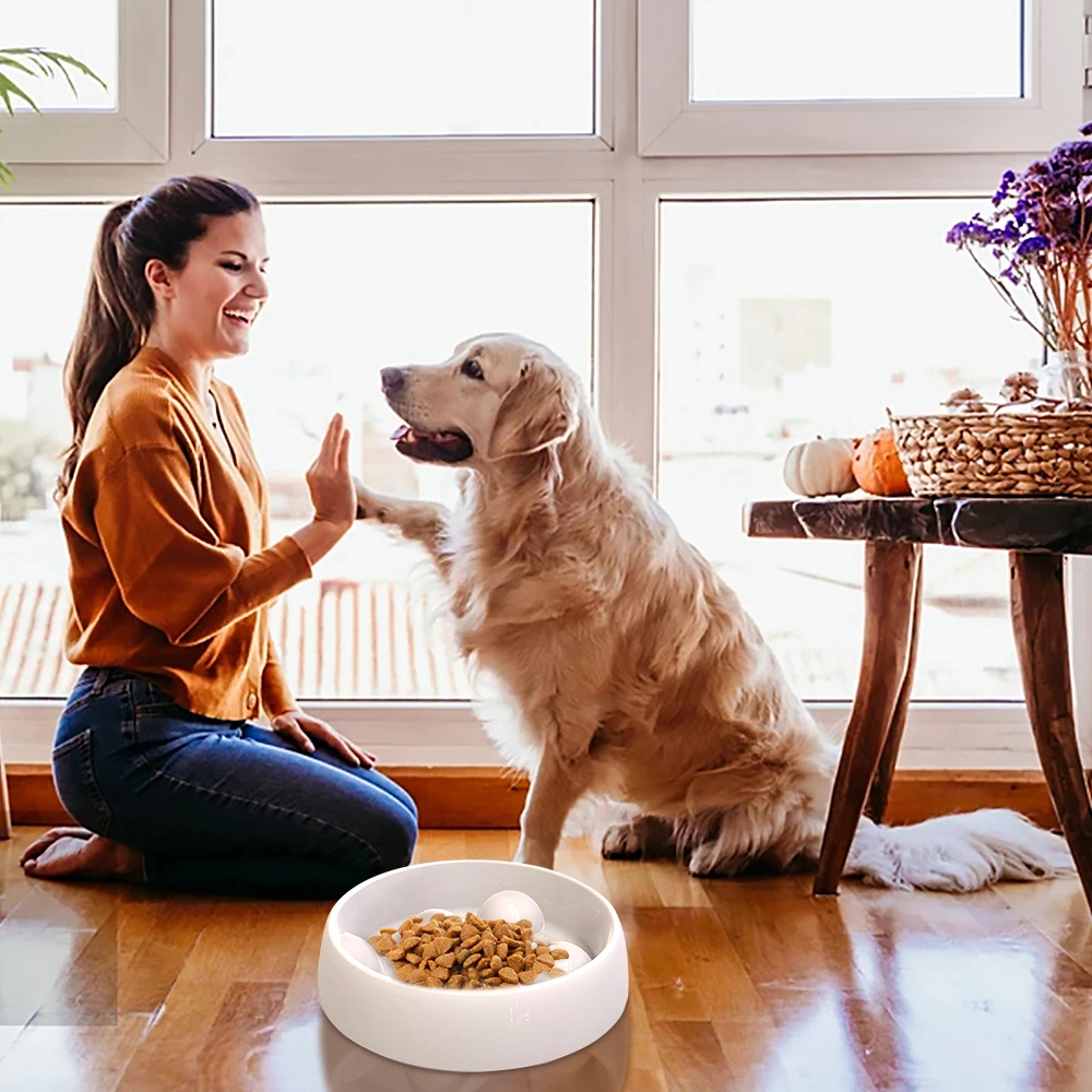 

Новинка 2021, миска для собак, миска для медленного кормления, большая тарелка для предотвращения удушения домашних животных, интересное взаи...