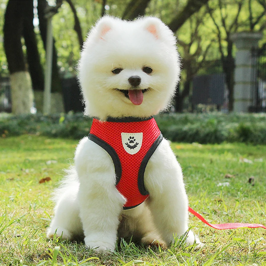 

Pet Small Dog Cat Vest Harness Reflective and Breathable Dog Collar Puppy Harness Nylon Dog Harness Strap Soft Vest For Dog Cat