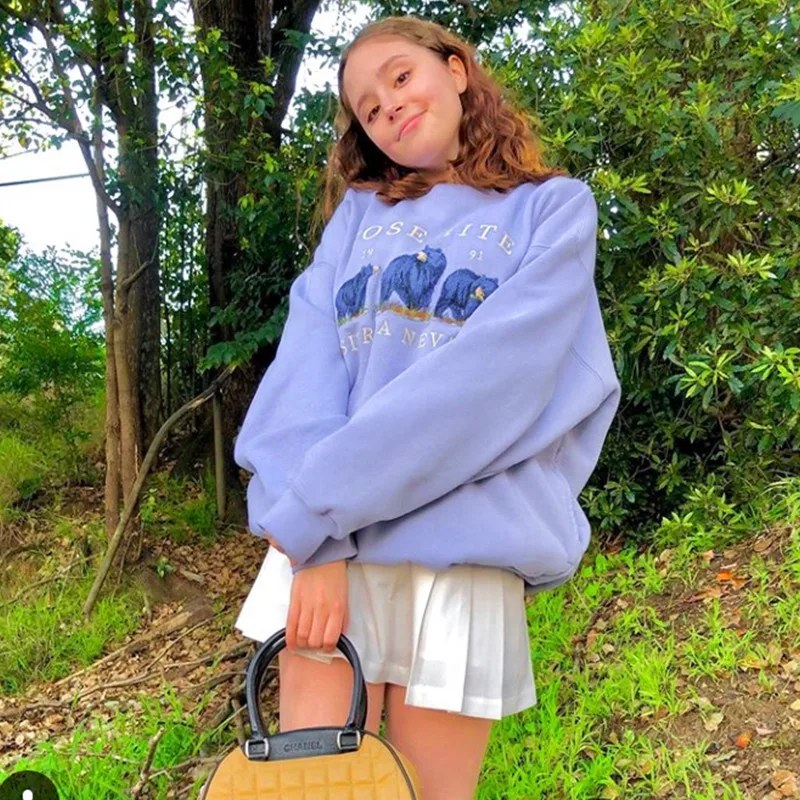Vintage Bear Embroid Oversized Sweatshirts Women Designer Crewneck Loose Pullovers Plus Size 2020Autumn Fashion Teens Girls Tops | Женская