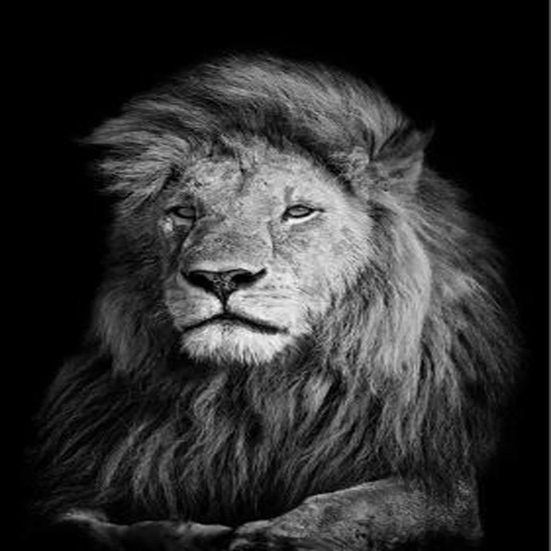 Черно-белый слон Лев Олень Тигр Леопард носороги Зебра 5D алмазная вышивка