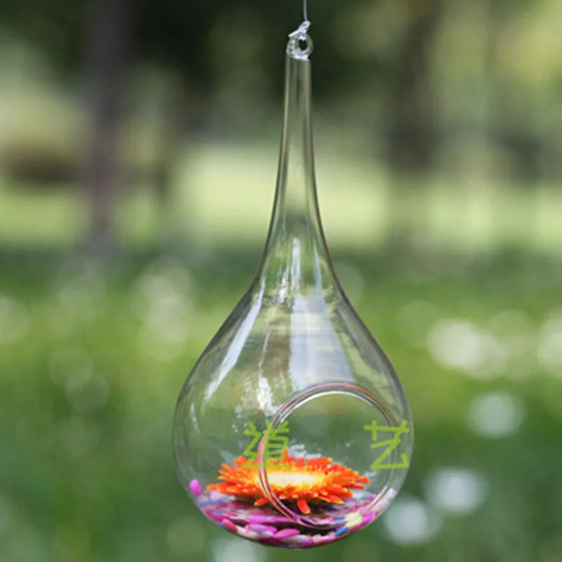 

Transparent Pendant Spherical Glass Vase Hydroponic Vase Home Decor