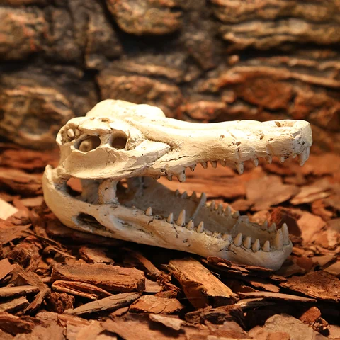 Крокодил, динозавр кости dodge резиновый домашний рептилий среды обитания водные пейзаж моделирования черепа украшение для аквариума