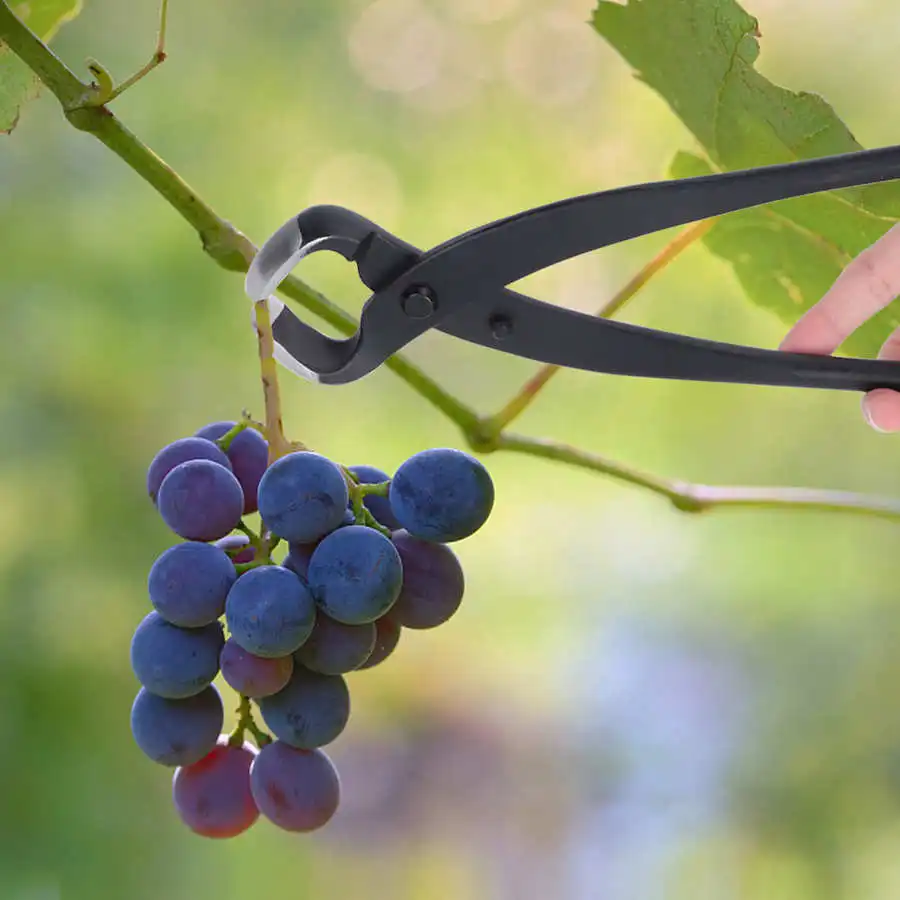 Садовый инструмент для обрезки ветвей деревьев 275 мм|Инструменты обрезки| |