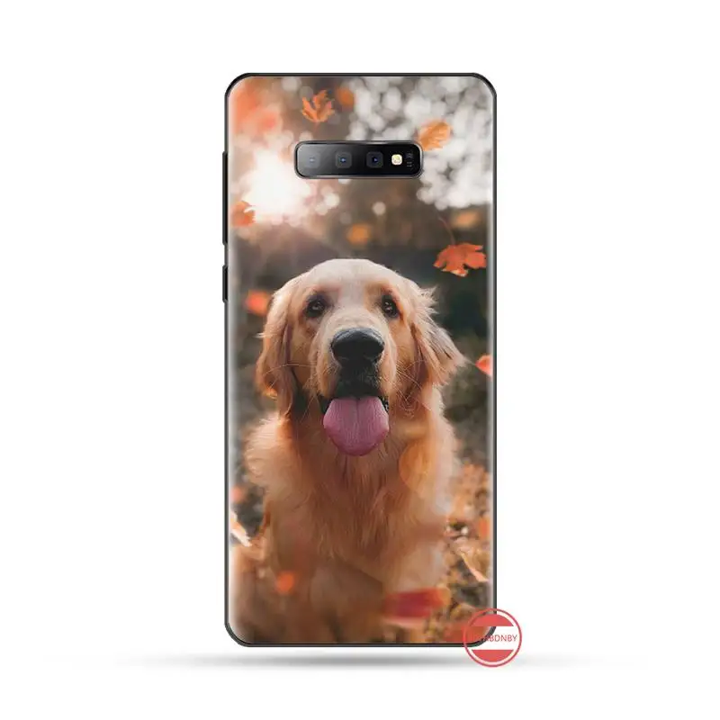 

Golden retriever dog cute protective Phone Case For Samsung S6 S7 edge S8 S9 S10 e plus A10 A50 A70 note8 J7 2017