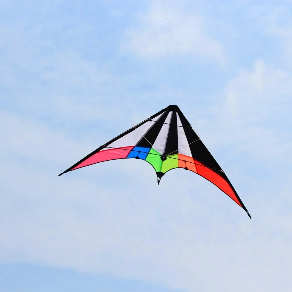 

Outdoor Fun Sports NEW 48/71 Inch Dual Line Power Stunt Kites /Triangle Kite For Adults With Handle And Line Good Flying