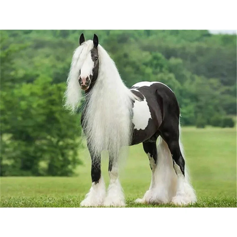 

5D Diamond Painting Horse Full Square/Round Animal Embroidery Spring Grass Scenery Paintings for Interior Home Decor