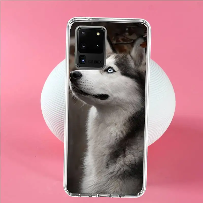 Чехол для телефона Husky dog Samsung S6 S7 edge S8 Plus S9 S10 plus E(lite) | Мобильные телефоны и