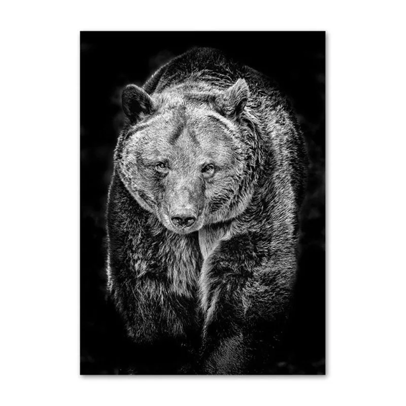 Алмазная живопись 5d сделай сам полное сверление круглая вышивка черно белые