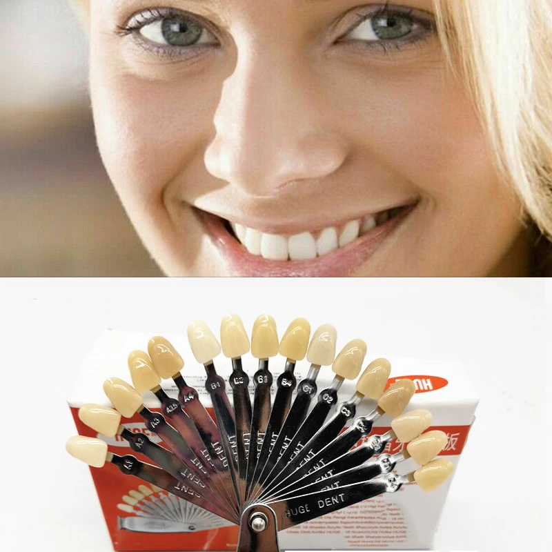 

Dental Equipment Teeth Whiting Porcelain Classical 16Color