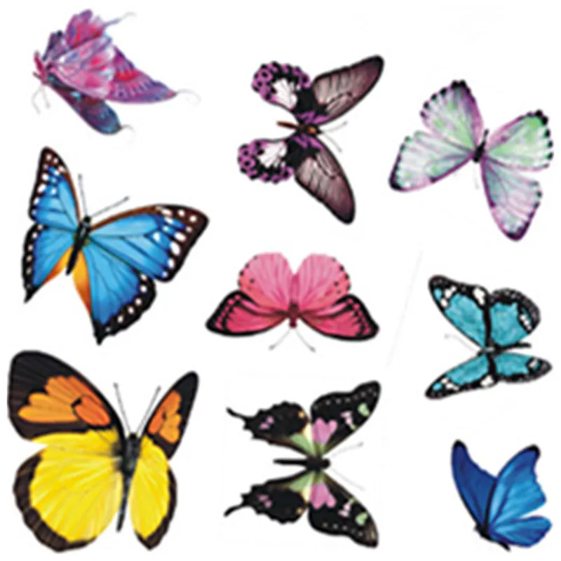 3D настенная художественная Цветная Бабочка Божья коровка виниловая Фотография