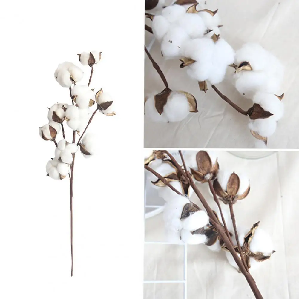 

Simulation Flower Realistic Exquisite Dried Cotton Artificial Cotton Flower Plant for Wedding