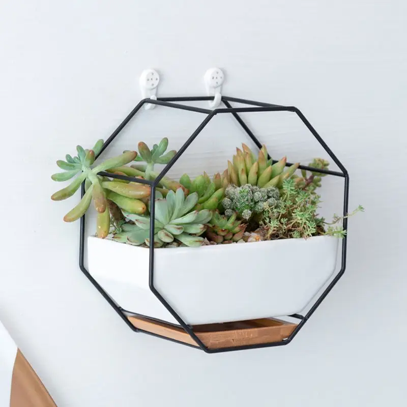 

Pots on The Wall Ceramic Maceta Hanging Planter Succulent Plants Flower Pots for Orchids Air Plant Holder Indoor Pots for Plants