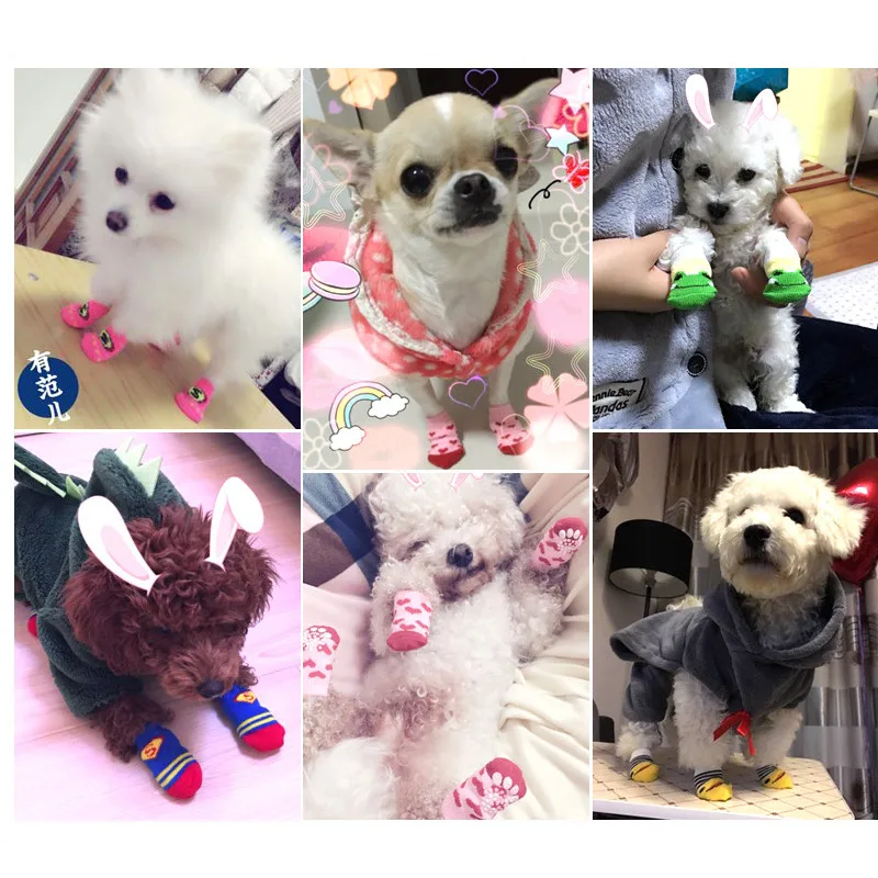 4 шт. хлопковые носки для домашних животных несколько цветов|Носки собак| |