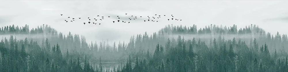 Винтажные плакаты и принты Monstera украшение для дома для гостиной кактус Прихожая настенная художественная картина Современная Картина на холсте - Цвет: E