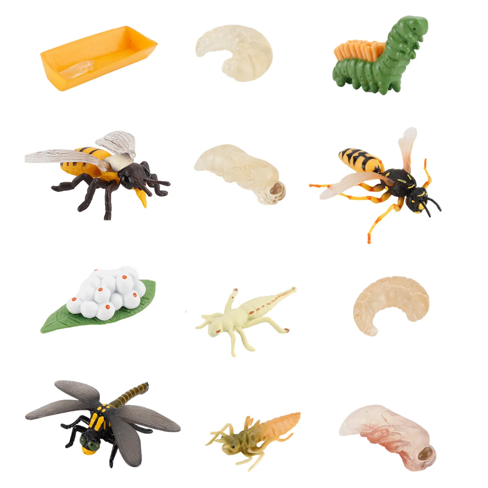 

12 шт., фигурки насекомых, спасательный цикл, стрекоза, ваза, пчела, набор игрушек, развивающий школьный проект для детей, малышей