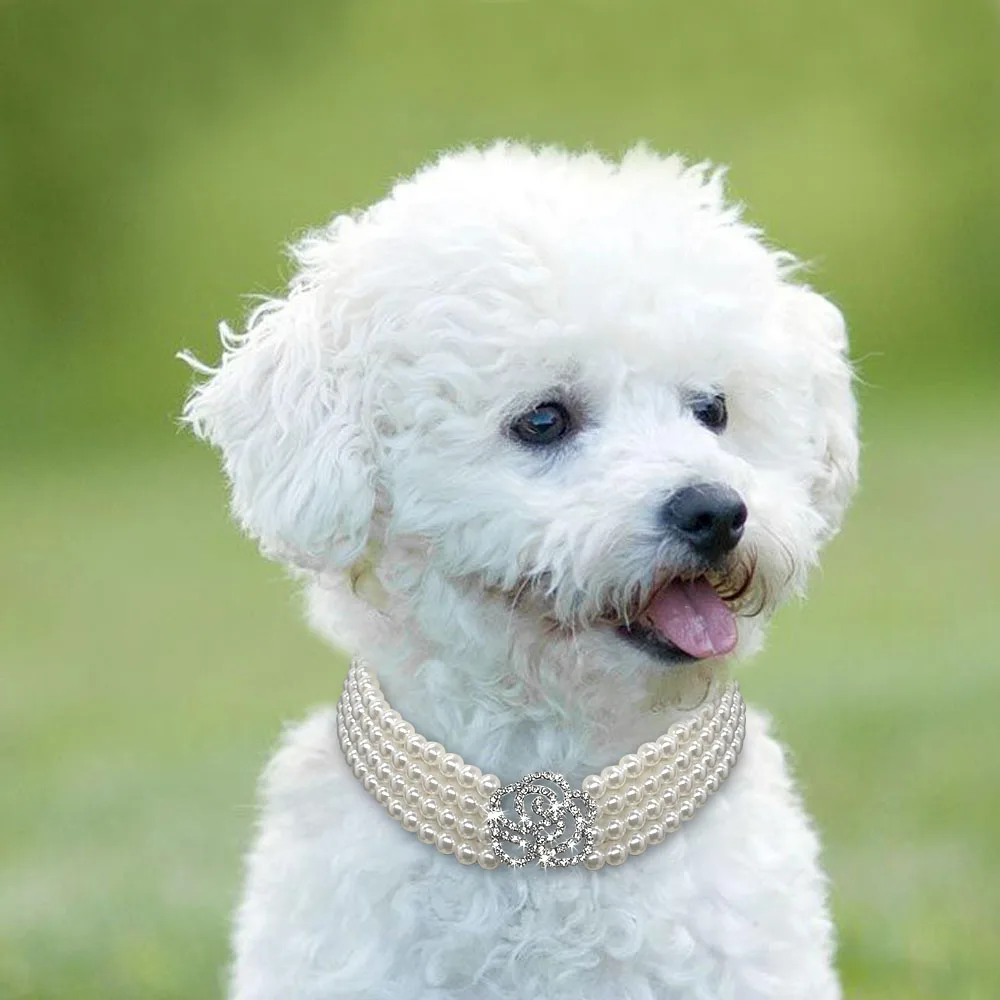 

Elegant Crystal Dog Collar Necklace Choker Style Rhinestone Pearl Luxury Pet Dog Accessories Necklaces For Dog Chihuahua D40
