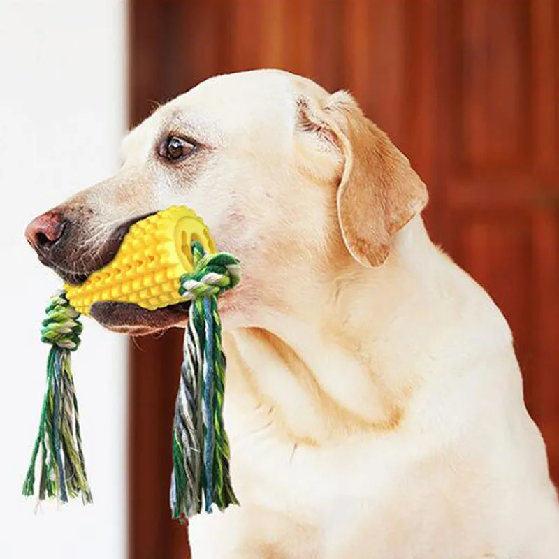 

Corn Grinding Stick Dog Toothbrush Toy Pet Dog Chews Toy with Rope Pet Bite-Resistant Toy Teeth Cleaner Pet Products