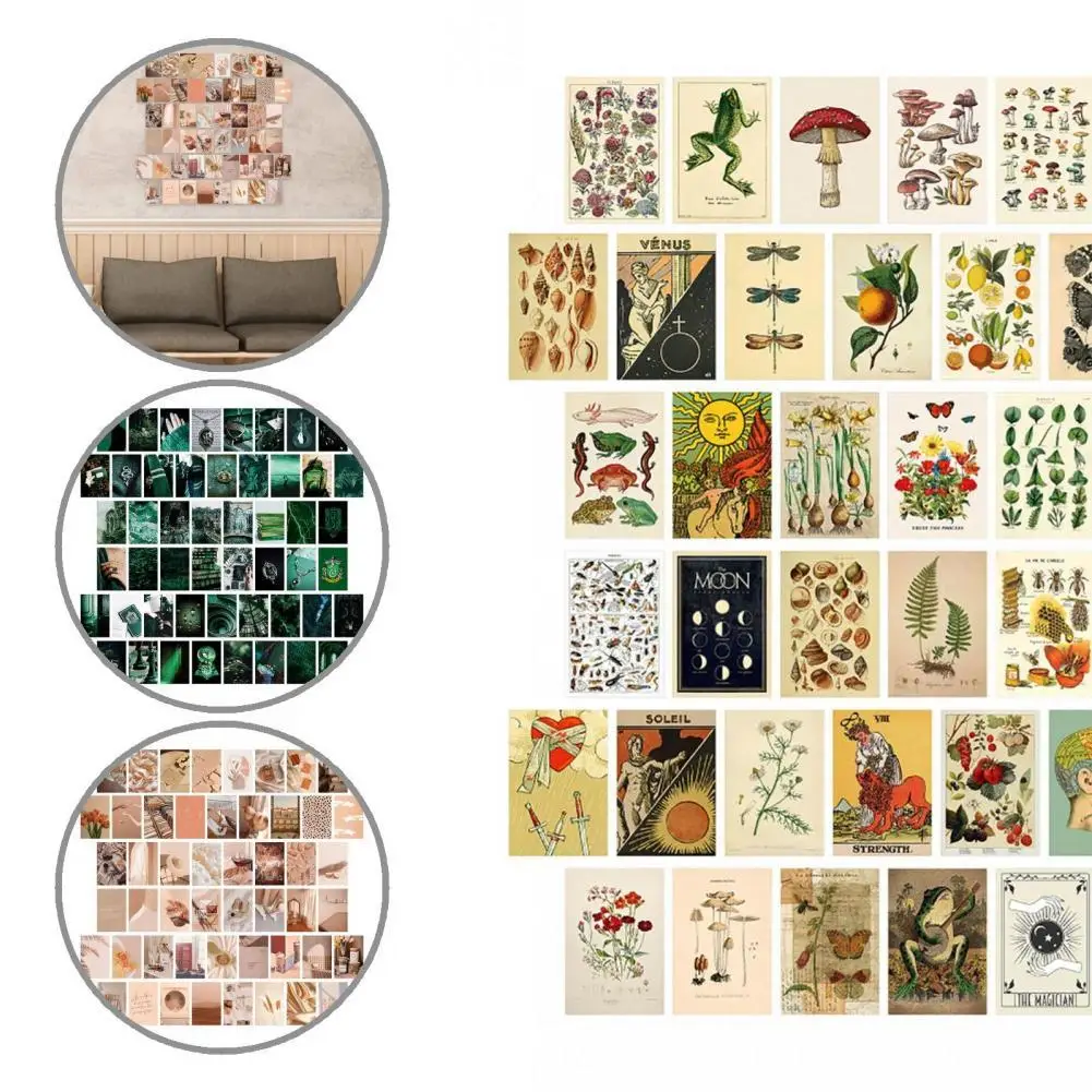 

Compact 50Pcs/Set Practical Wide Application Wall Aesthetic Pictures Eco-friendly for Corridor