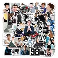 3050 pcs singer shawn mendes stickers waterproof pvc luggage skateboard snowboard phone laptop guitar kids toys gift for friend