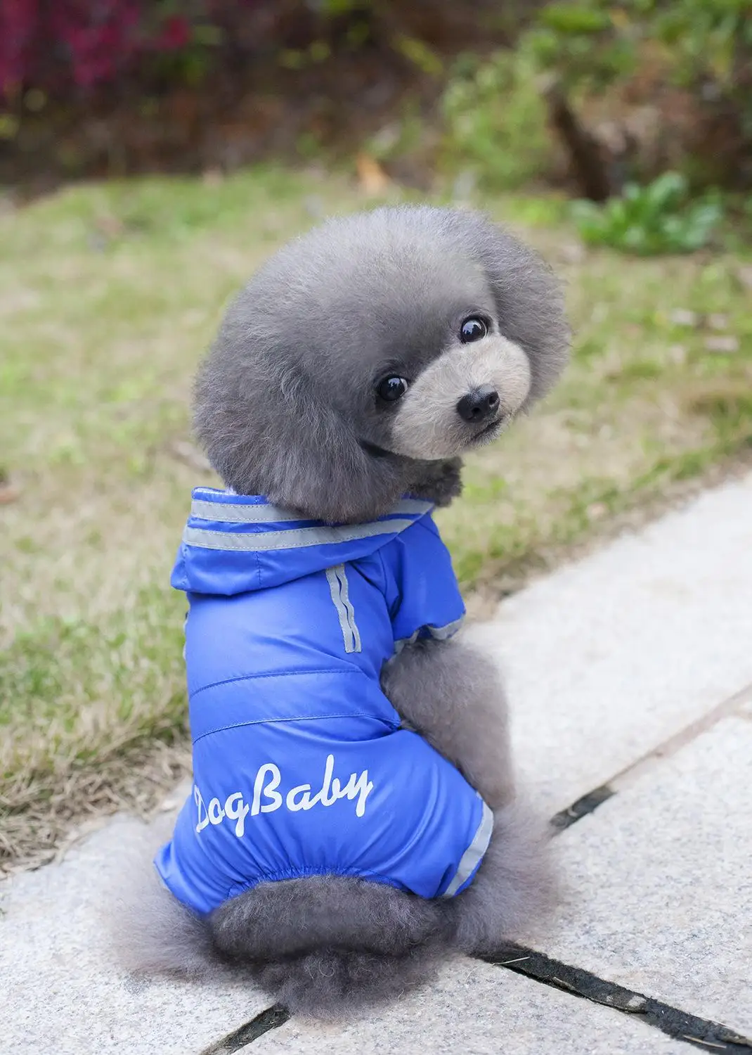 

17 Raincoats