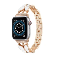 casebelt for apple watch band 44 40 38 42mm women stainless steel bracelet diamond butterfly for iwatch series se 7 6 5 4 3 2