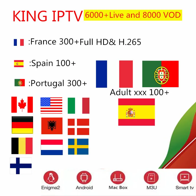 Французский IP tv подписка Франция Испания арабский Швеция Португалия Европа для
