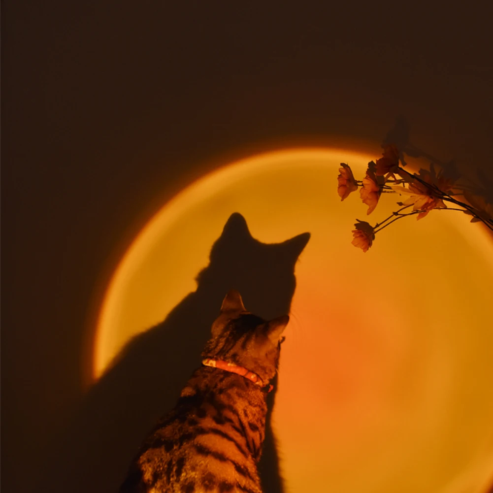 

Sunset Projector Floor Lamp Colorful Rainbow Atmosphere Led Night Light For Home Bedroom Coffe Shop Background Wall Decoration