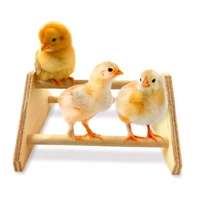 chick training perch natural wood bird perch stand triangular shape climbing pecking toy bird cage accessories for baby chicks