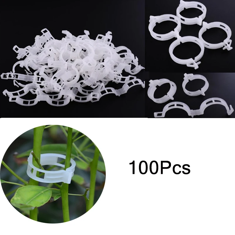 100Pcs zhi wu jia 50/100Pcs Садоводство лоза вьющиеся растения кабельные стяжки линии завод кронштейны Запчасти бонсай огурец винограда из ротанга поддерживает ZXH - Цвет: 100Pcs zhi wu jia