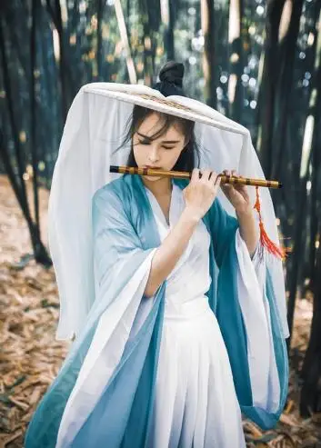Традиционный китайский стиль hanfu Женский костюм hanfu Tang костюм Китайский традиционный костюм династии Тан китайское платье