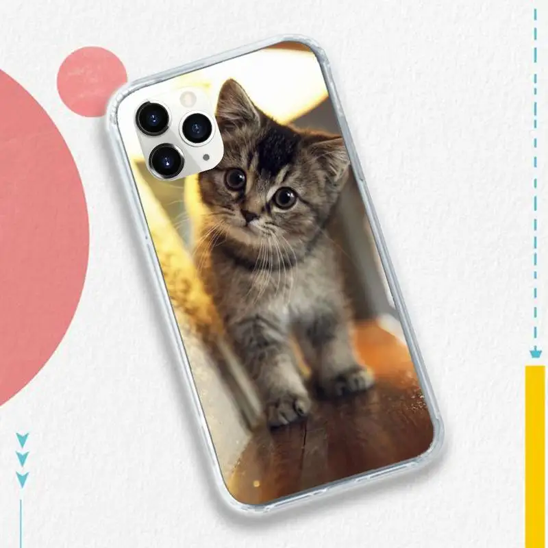 

cat Naughty and cute high quality Phone Case for iPhone 11 12 pro XS MAX 8 7 6 6S Plus X 5S SE 2020 XR