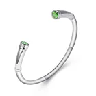 Новый дизайн, памятный кулон для праха, урна, браслет для праха, с двумя винтами, из нержавеющей стали, кремационные украшения для людейживотных