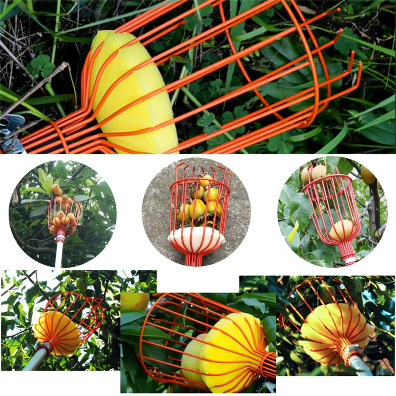 Садовые фруктовые остроконечные инструменты открытый удобный металлический