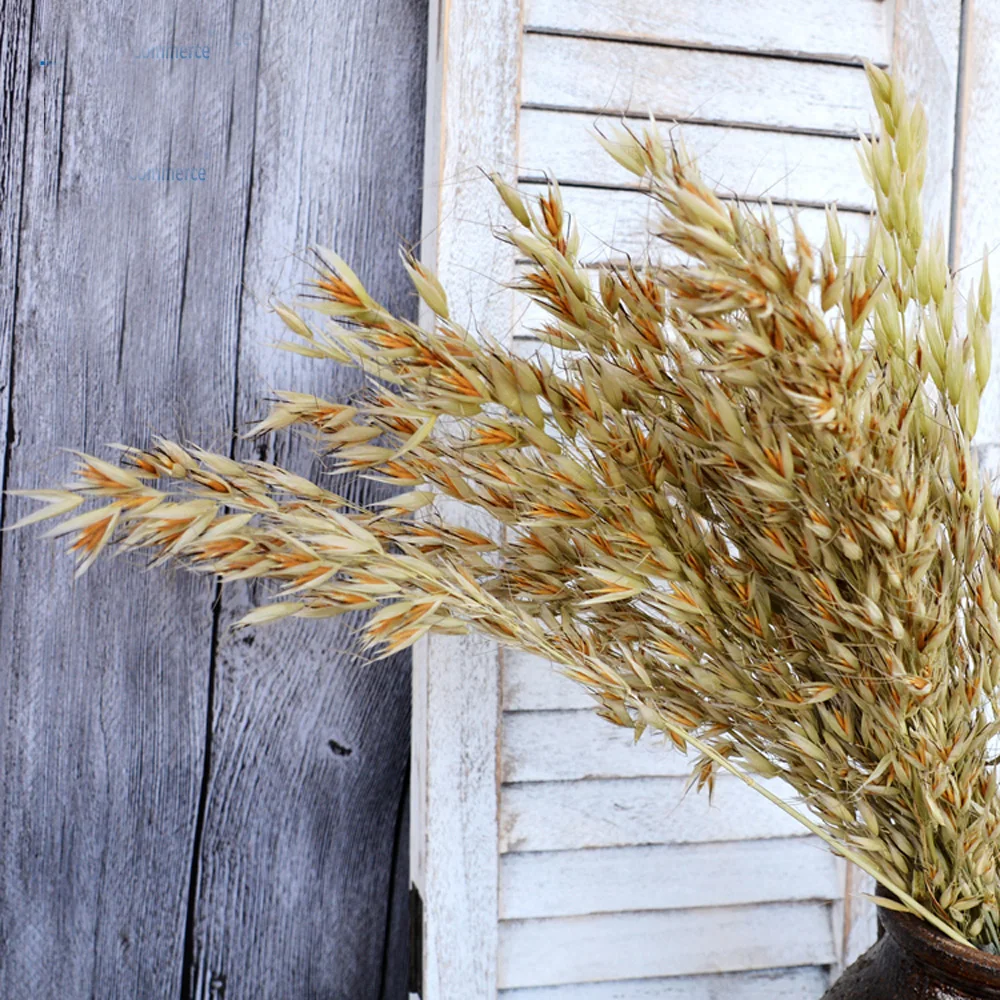 50 шт. натуральный цвет сушеные натуральные Цветочные букеты Натуральные Сушеные