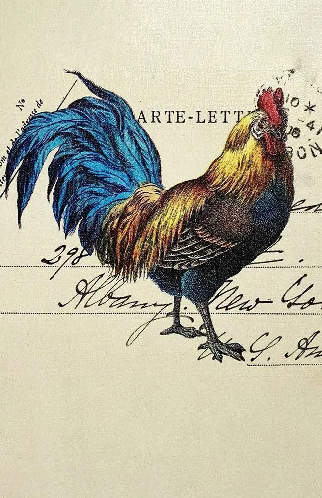 

Vintage Chicken Farm Rooster Cockerel Poppy Country Tin Signs Wall Plaque for Home Kitchen Bar Farm Coffee Shop Metal Tin Signs