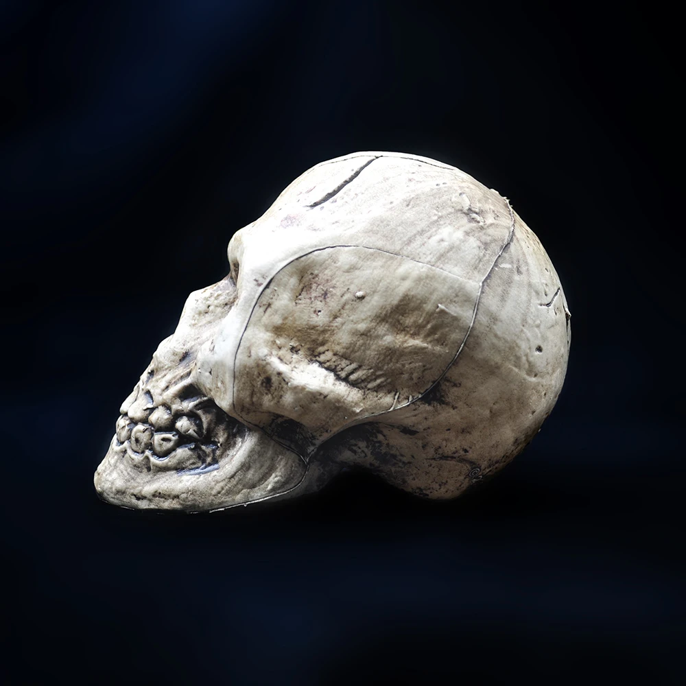 Украшение в виде черепа на Хэллоуин пластиковая поддельная модель скульптура