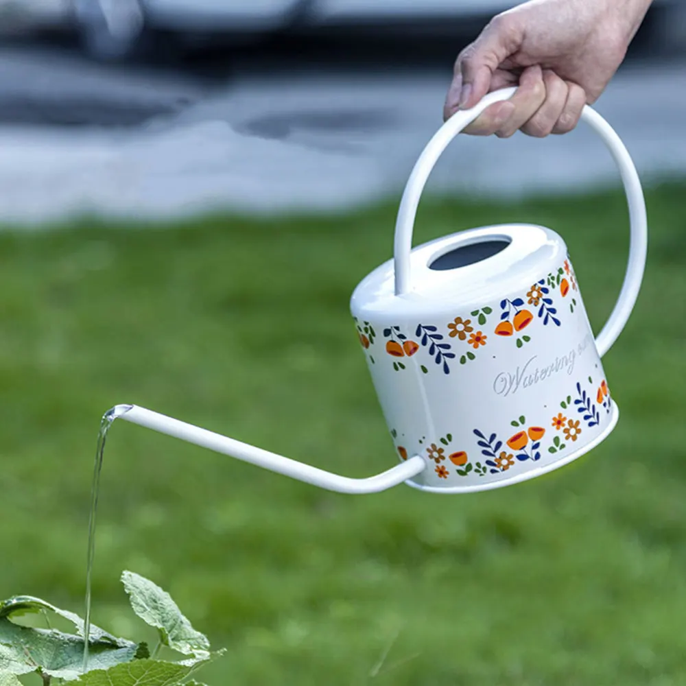 

Stainless Steel Watering Can Vintage Water Can Long Spout Watering Bottle